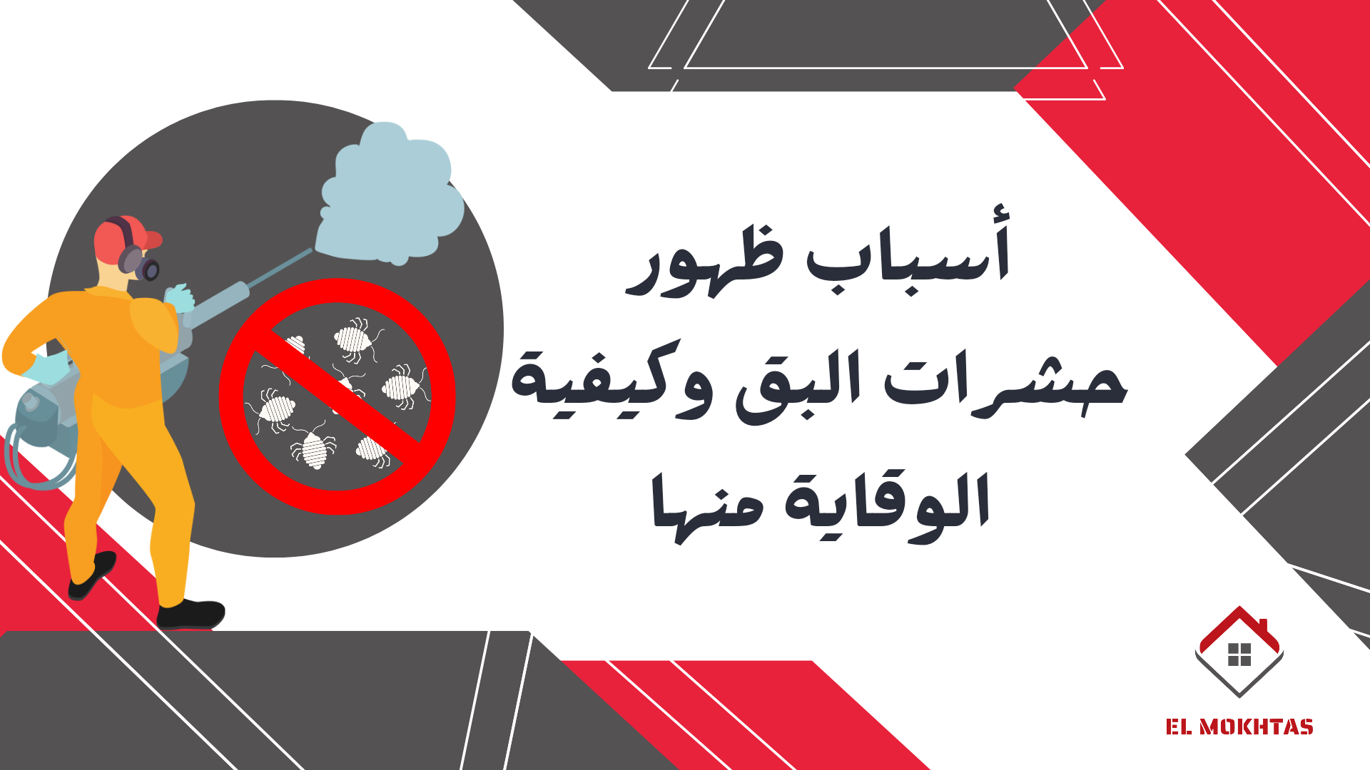 أسباب ظهور حشرات البق وكيفية الوقاية منها