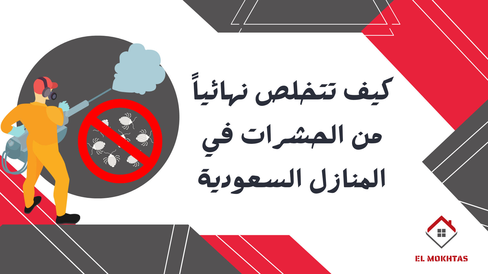 كيف تتخلص نهائياً من الحشرات في المنازل السعودية