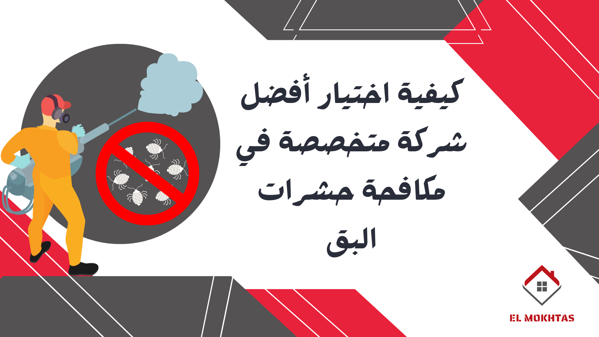 كيفية اختيار أفضل شركة متخصصة في مكافحة حشرات البق