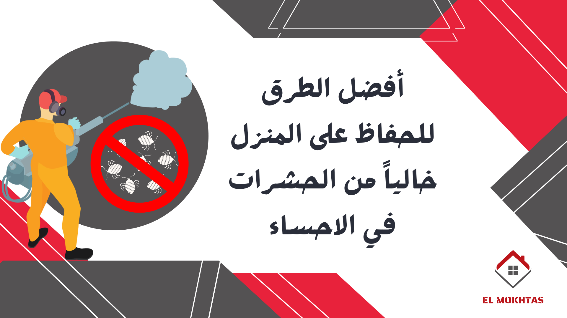 أفضل الطرق للحفاظ على المنزل خالياً من الحشرات في الاحساء