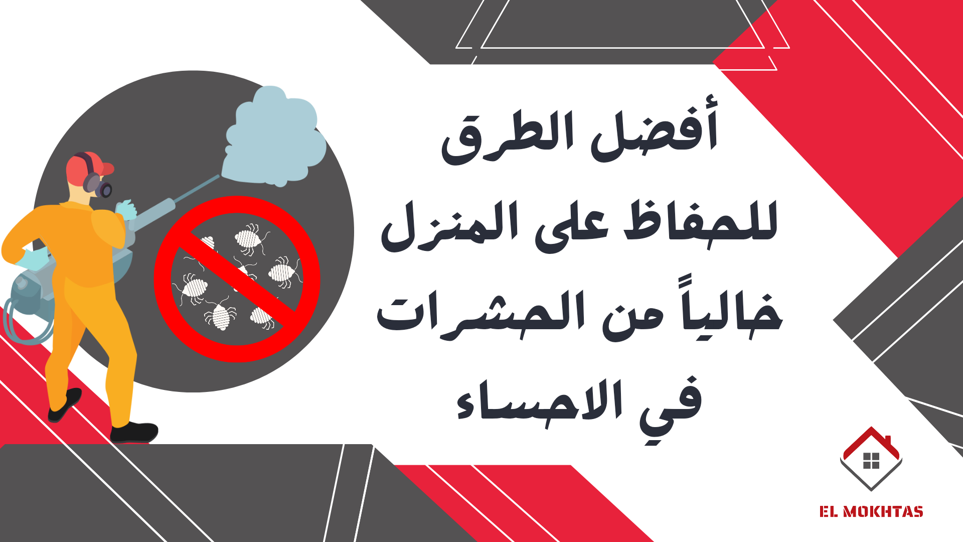 أفضل الطرق للحفاظ على المنزل خالياً من الحشرات في الاحساء